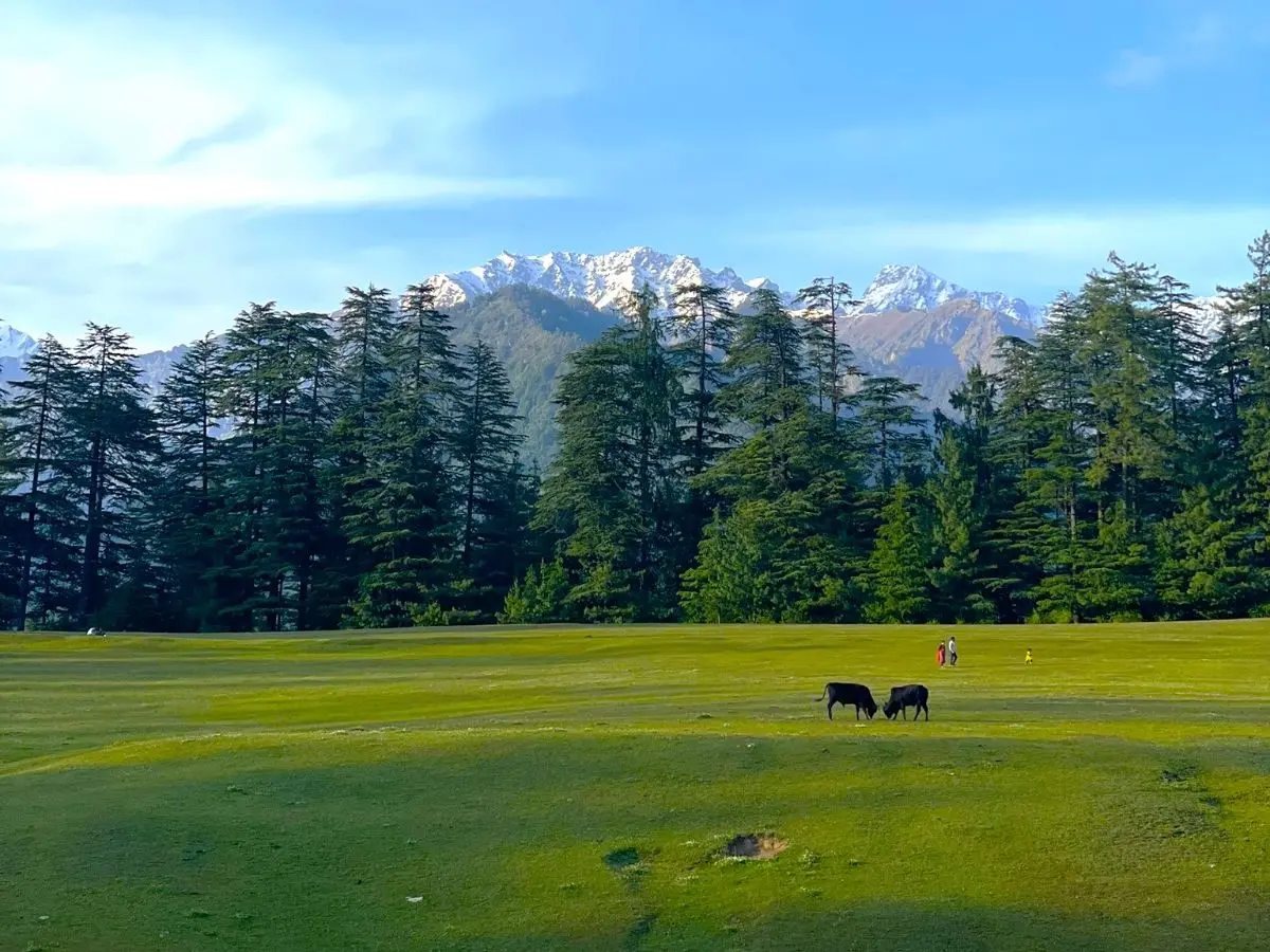 Jibhi Tirthan Valley Tour