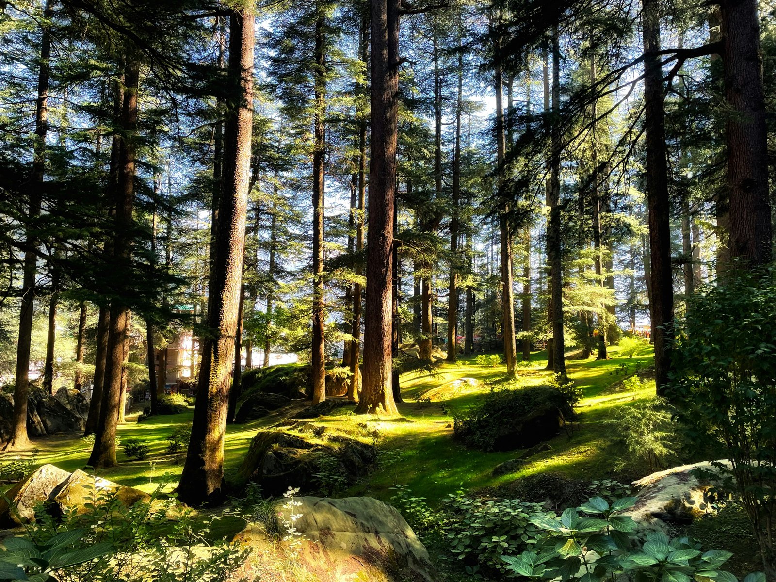 Manali | Kasol Tour Package