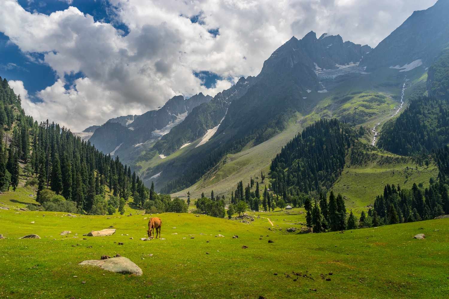 Best of Kashmir | Free Sonmarg Excursion