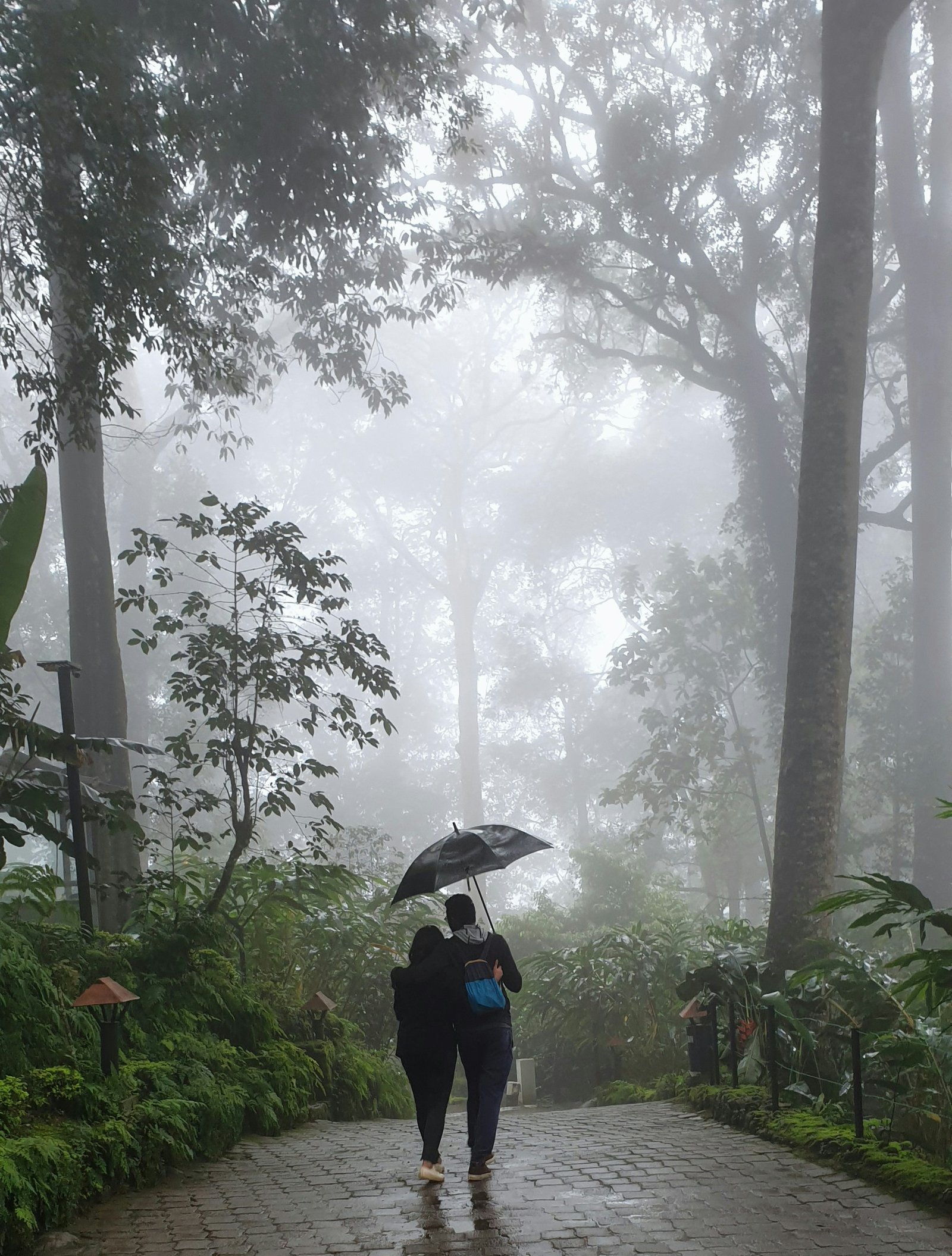 Family Tour To Kerala