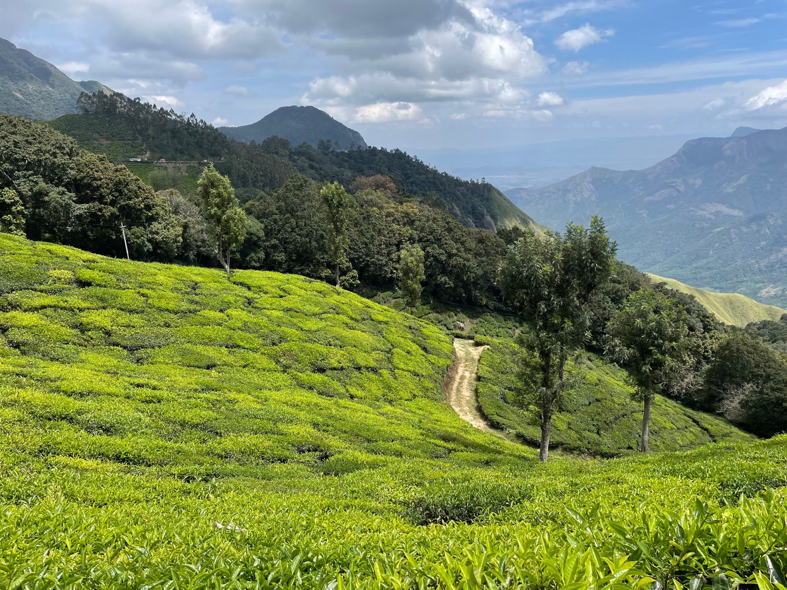 Best of Kerala Tour | From houseboat stay to hilltop