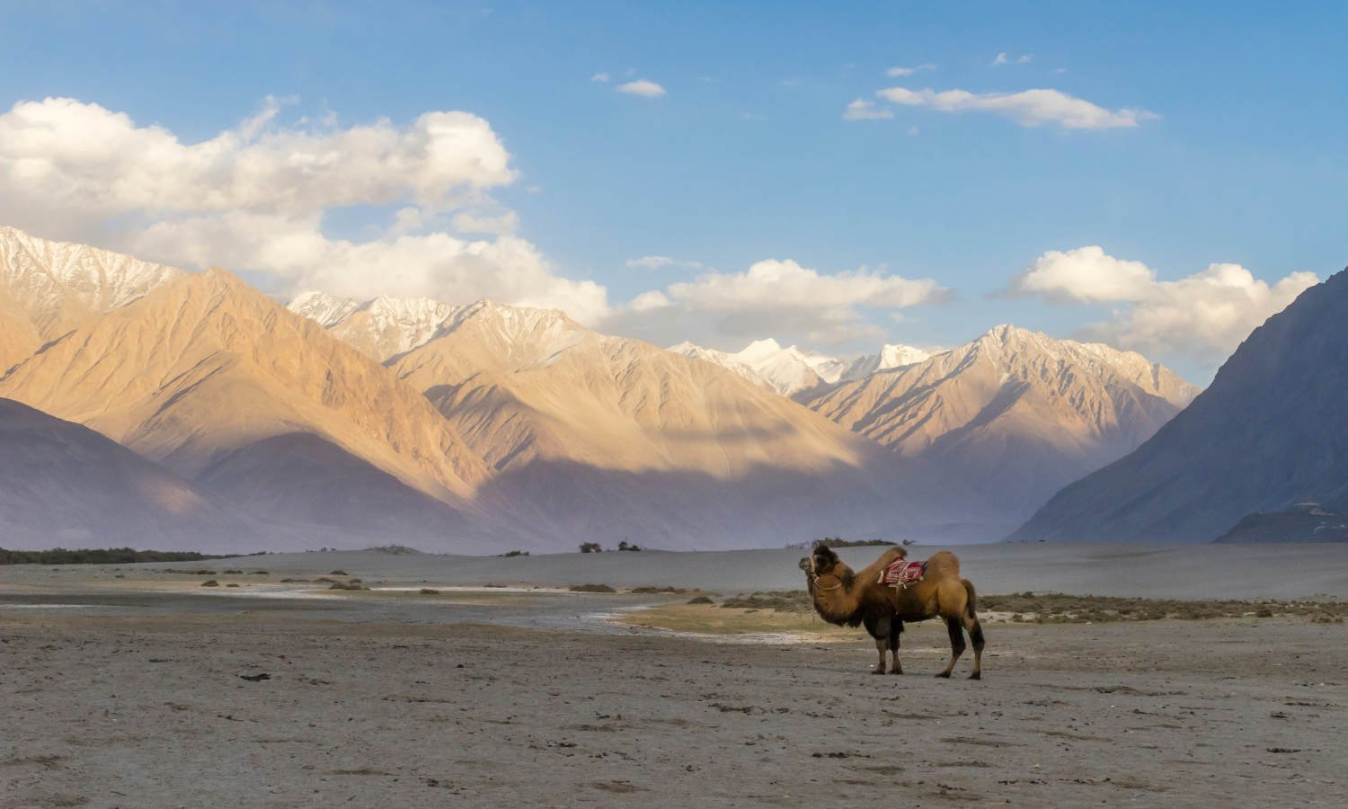 Leh Ladakh Bike Adventure